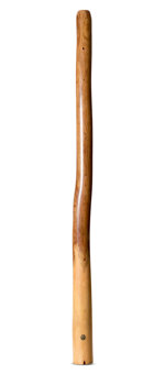 Wix Stix Didgeridoo (WS377)